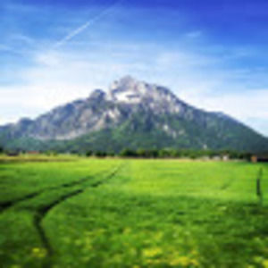 Meet your Posher, Richie